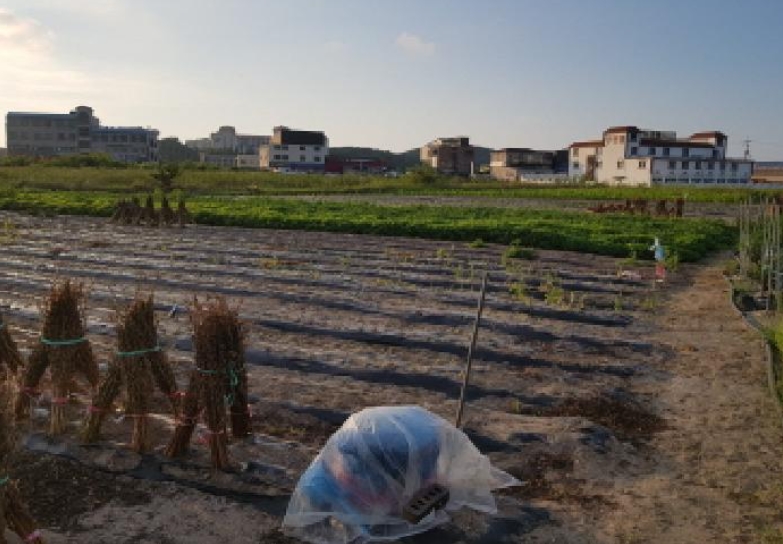 전북특별자치도 부안군 변산면 격포리 271-25 외 20필지 전 경매 사진 11