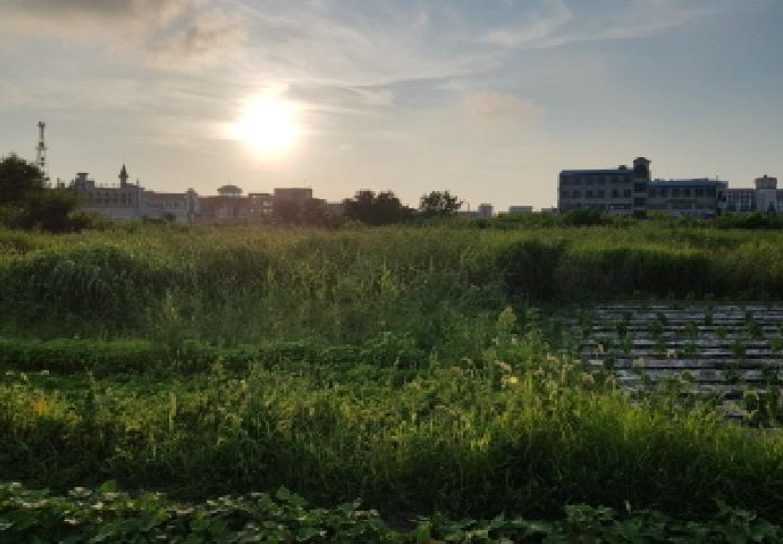 전북특별자치도 부안군 변산면 격포리 271-25 외 20필지 전 경매 사진 12