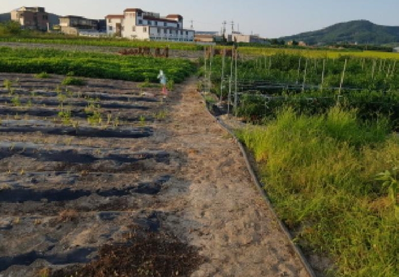 전북특별자치도 부안군 변산면 격포리 271-25 외 20필지 전 경매 사진 15