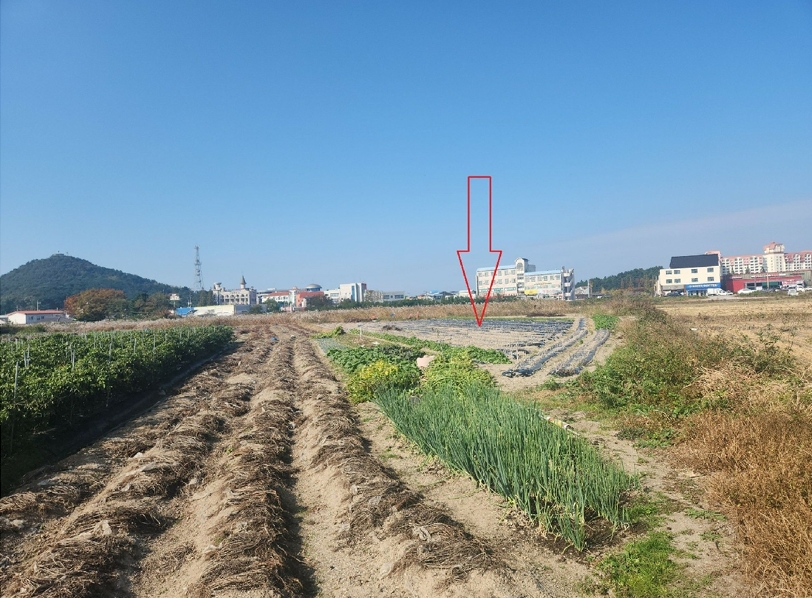 전북특별자치도 부안군 변산면 격포리 271-25 외 20필지 전 경매 사진 20