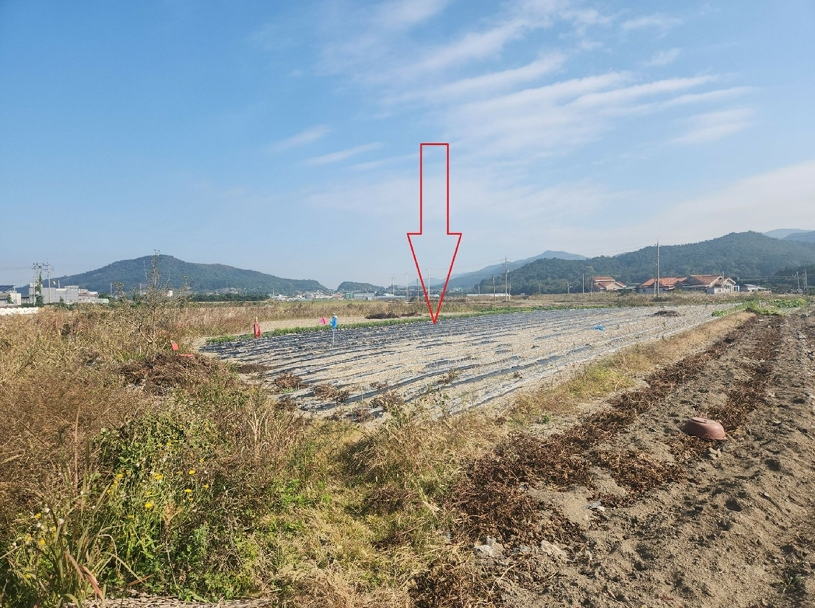전북특별자치도 부안군 변산면 격포리 271-25 외 20필지 전 경매 사진 21