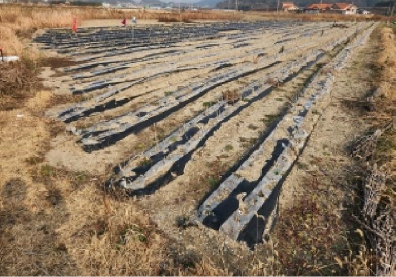 전북특별자치도 부안군 변산면 격포리 271-25 외 20필지 전 경매 사진 23