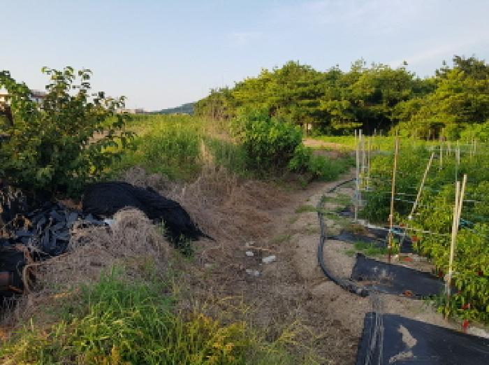 전북특별자치도 부안군 변산면 격포리 271-25 외 20필지 전 경매 사진 24