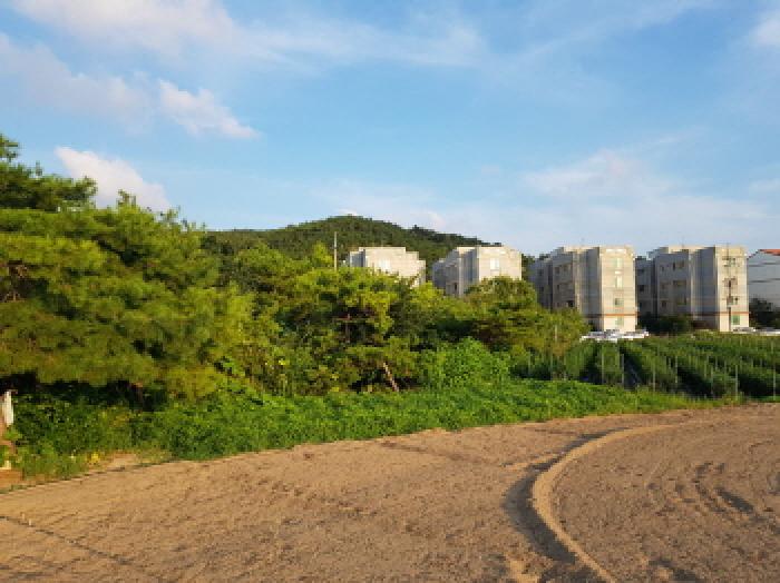 전북특별자치도 부안군 변산면 격포리 271-25 외 20필지 전 경매 사진 28