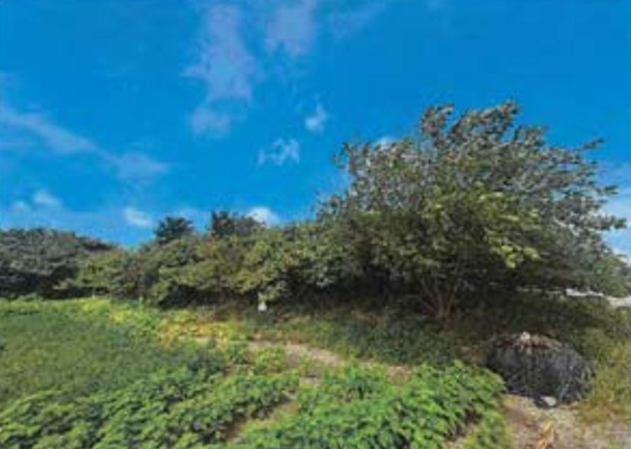 전북특별자치도 부안군 변산면 격포리 271-25 외 20필지 전 경매 사진 9