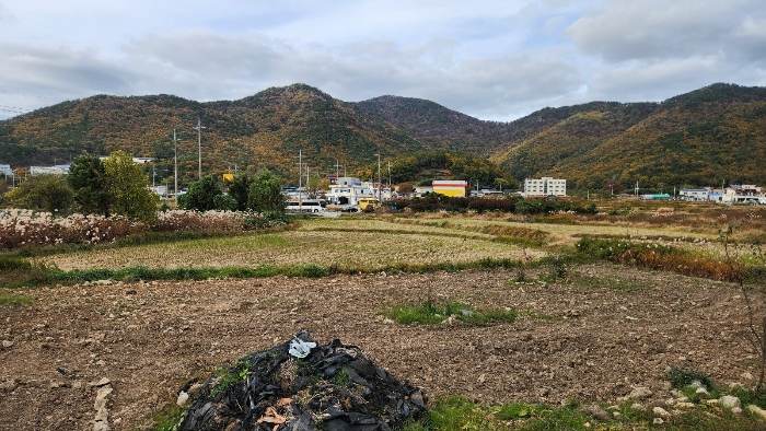 경상남도 거제시 연초면 오비리 822 답 경매 사진 3