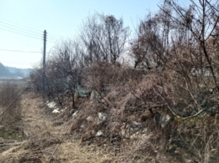 충청남도 당진시 송악읍 중흥리 492-8 외 5필지 대지 경매 사진 2