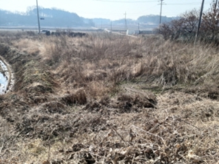 충청남도 당진시 송악읍 중흥리 492-8 외 5필지 대지 경매 사진 11