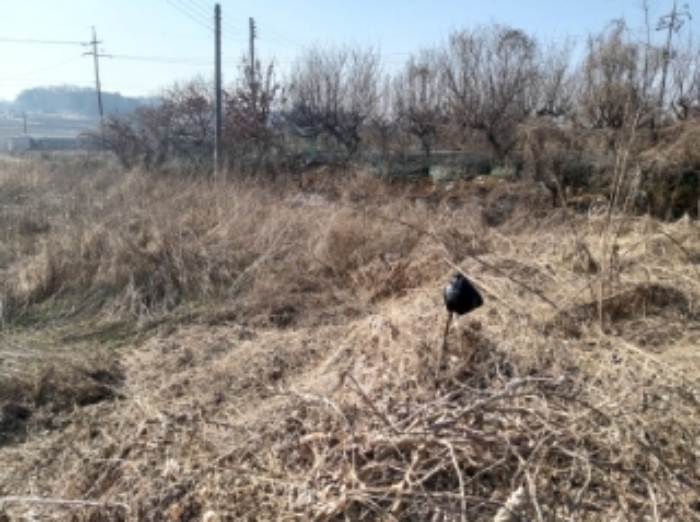 충청남도 당진시 송악읍 중흥리 492-8 외 5필지 대지 경매 사진 12