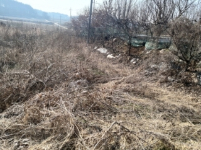 충청남도 당진시 송악읍 중흥리 492-8 외 5필지 대지 경매 사진 13