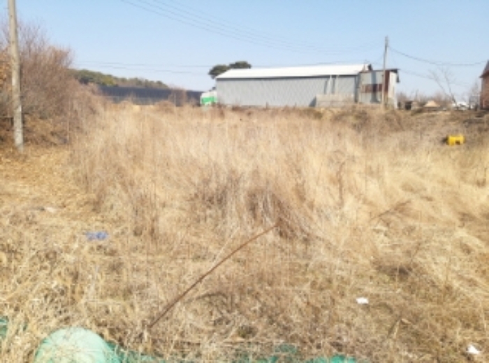 충청남도 당진시 송악읍 중흥리 492-8 외 5필지 대지 경매 사진 15