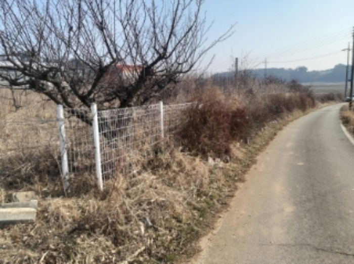 충청남도 당진시 송악읍 중흥리 492-8 외 5필지 대지 경매 사진 3