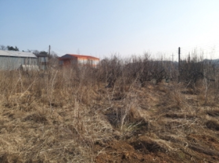 충청남도 당진시 송악읍 중흥리 492-8 외 5필지 대지 경매 사진 31