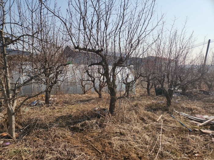 충청남도 당진시 송악읍 중흥리 492-8 외 5필지 대지 경매 사진 43