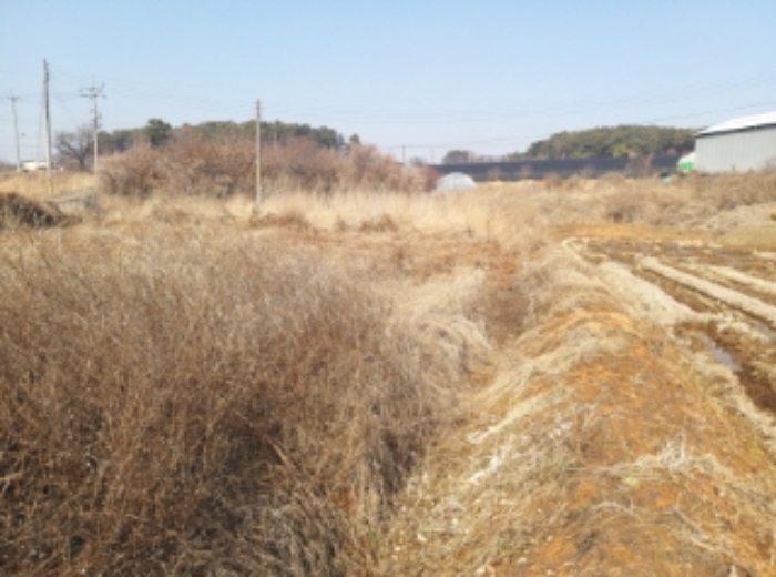 충청남도 당진시 송악읍 중흥리 492-8 외 5필지 대지 경매 사진 7