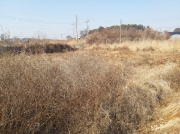 충청남도 당진시 송악읍 중흥리 492-8 외 5필지 대지 경매 사진 8
