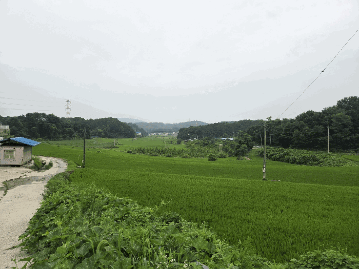 충청북도 청주시 서원구 남이면 팔봉리 201-12 답 경매 사진 10