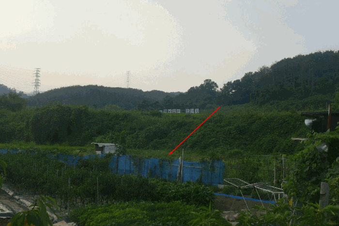 경상북도 경주시 양남면 상계리 235 답 경매 사진 9