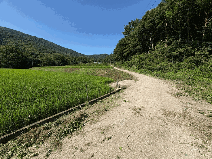 전라남도 보성군 벌교읍 마동리 1086 답 경매 사진 33