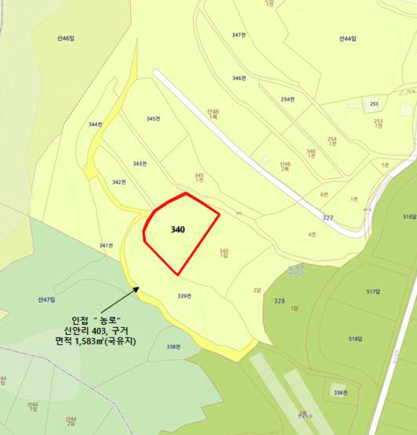경기도 안성시 보개면 신안리 산46 외 19필지 임야 경매 사진 41