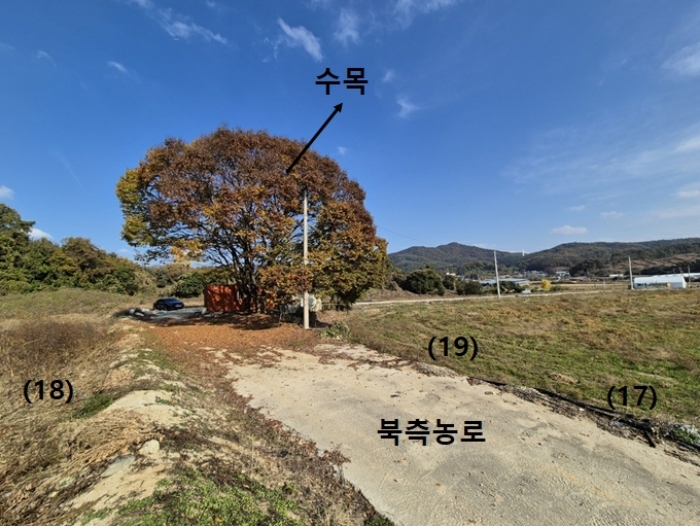 경기도 안성시 보개면 신안리 산46 외 19필지 임야 경매 사진 50