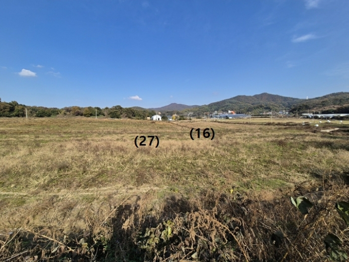 경기도 안성시 보개면 신안리 산46 외 19필지 임야 경매 사진 53