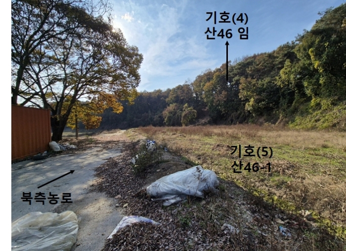 경기도 안성시 보개면 신안리 산46 외 19필지 임야 경매 사진 56