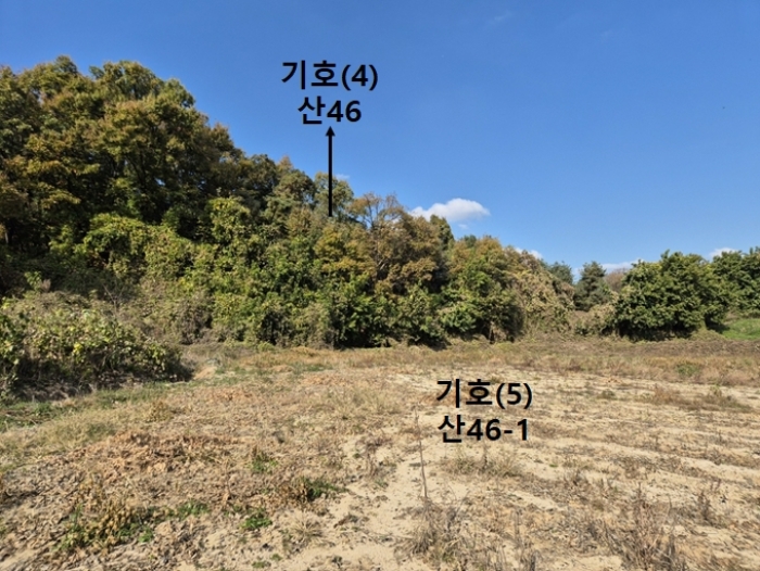 경기도 안성시 보개면 신안리 산46 외 19필지 임야 경매 사진 57