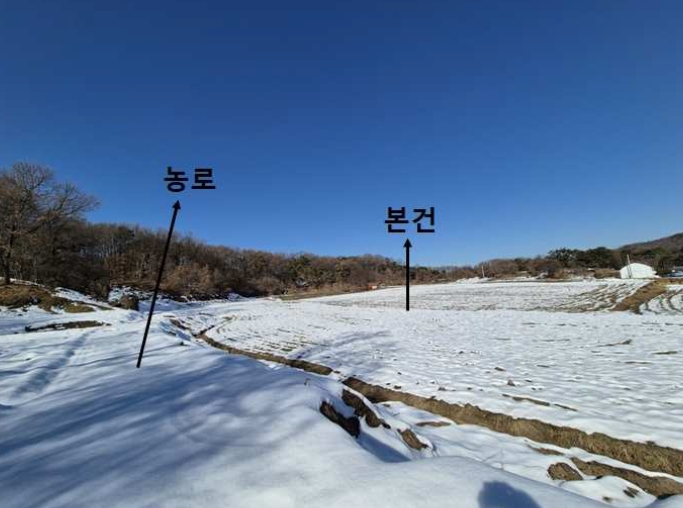 경기도 안성시 보개면 신안리 산46 외 19필지 임야 경매 사진 10