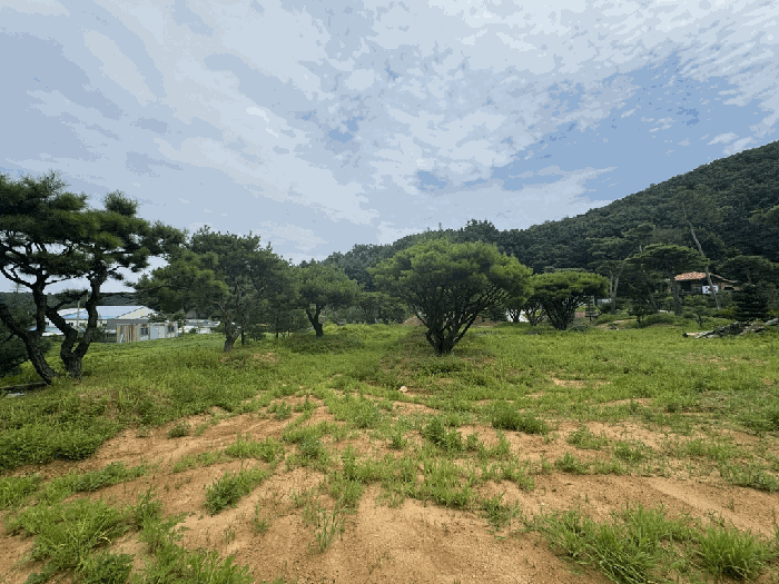 경기도 파주시 광탄면 신산리 329-8 답 경매 사진 13