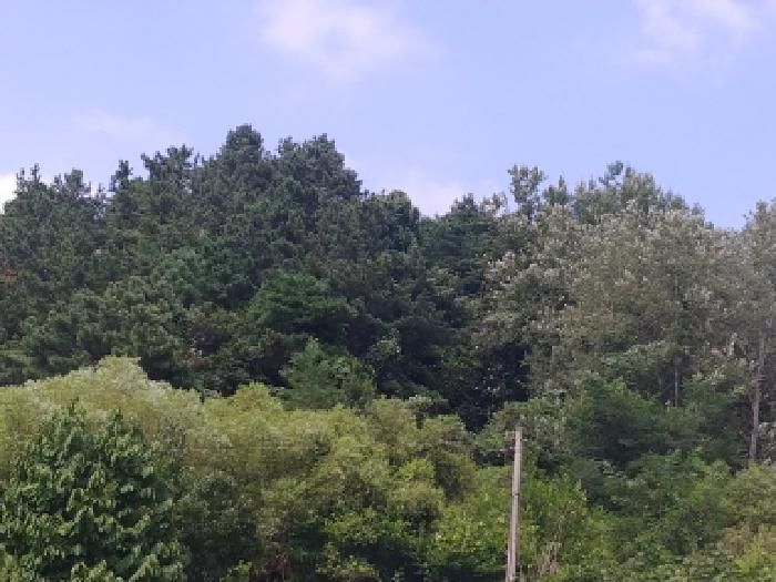 충청남도 금산군 남이면 성곡리 268 외 2필지 답 경매 사진 3