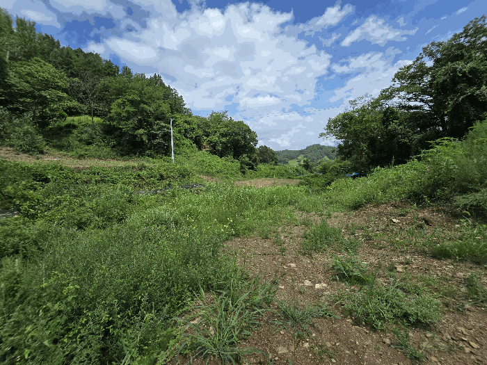 충청남도 금산군 남이면 성곡리 268 외 2필지 답 경매 사진 26
