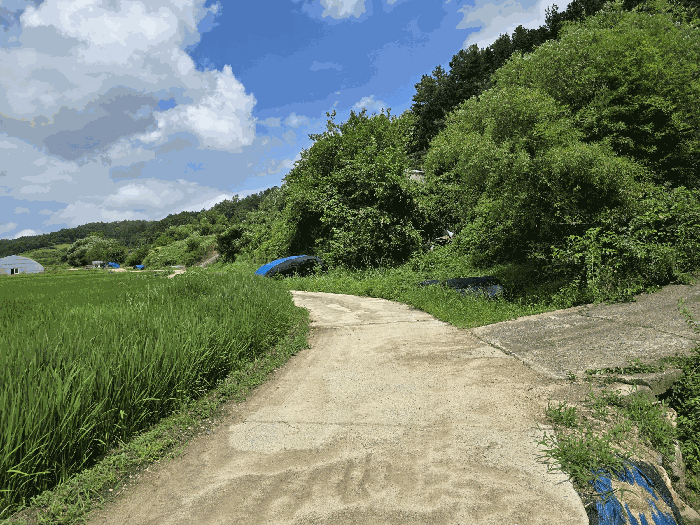 충청남도 금산군 남이면 성곡리 268 외 2필지 답 경매 사진 29