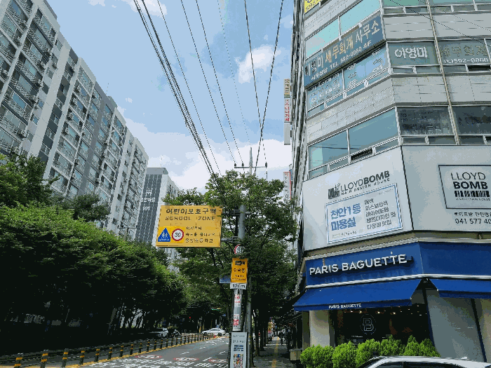 충청남도 천안시 서북구 쌍용동 1955 대림프라자 10층1001호 상가,오피스텔,근린시설 경매 사진 9