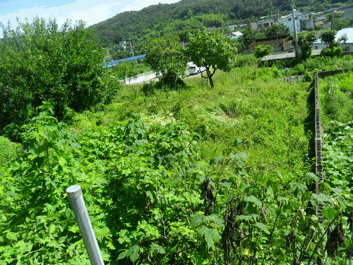 경상북도 경주시 양남면 상계리 112 대지 경매 사진 12