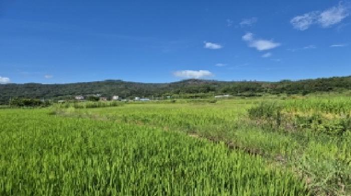 경상북도 포항시 북구 흥해읍 용곡리 411 답 경매 사진 30