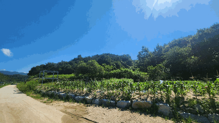 경상남도 산청군 생초면 어서리 산160 임야 경매 사진 2