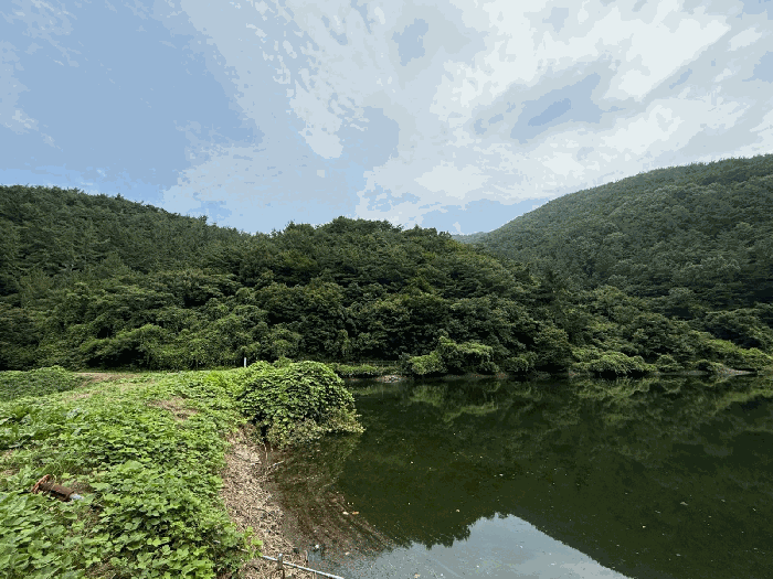 경상남도 진주시 이반성면 길성리 산8 외 1필지 임야 경매 사진 8