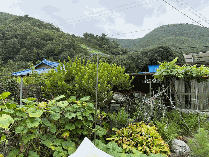 경상남도 진주시 이반성면 길성리 산8 외 1필지 임야 경매 사진 10