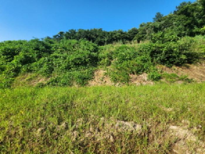 전라남도 순천시 해룡면 용전리 595 전 경매 사진 14