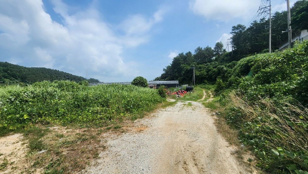 전라남도 완도군 노화읍 고막리 796 외 12필지 양어장 경매 사진 1
