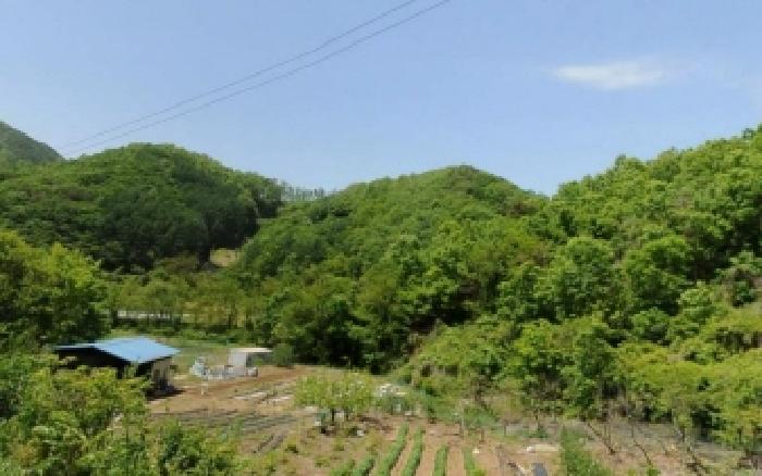 충청북도 충주시 대소원면 탄용리 379-1 전 경매 사진 9