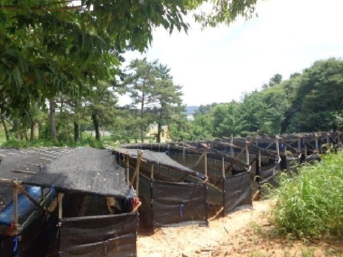 충청남도 태안군 소원면 시목리 962-3 외 4필지 전 경매 사진 11