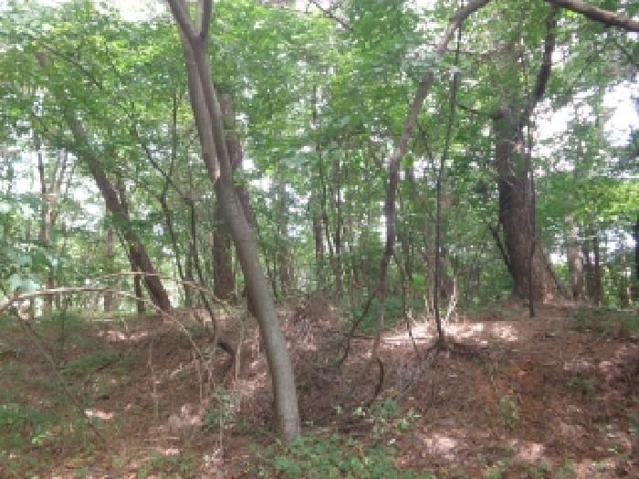 충청남도 태안군 소원면 시목리 962-3 외 4필지 전 경매 사진 24