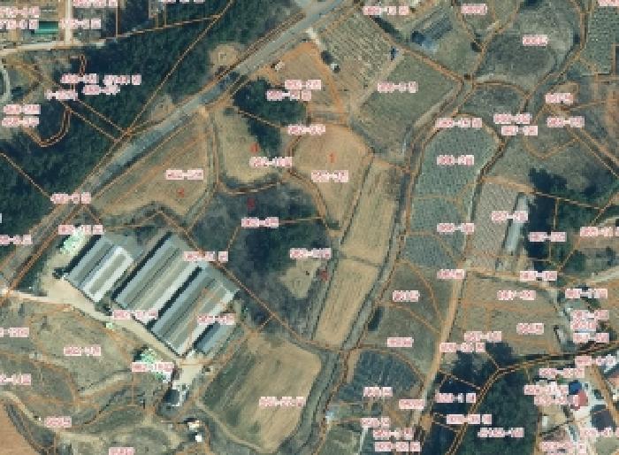 충청남도 태안군 소원면 시목리 962-3 외 4필지 전 경매 사진 7