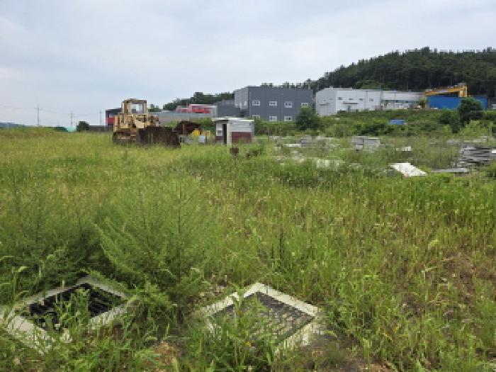 경상북도 영천시 금호읍 삼호리 29 외 27필지 답 경매 사진 13