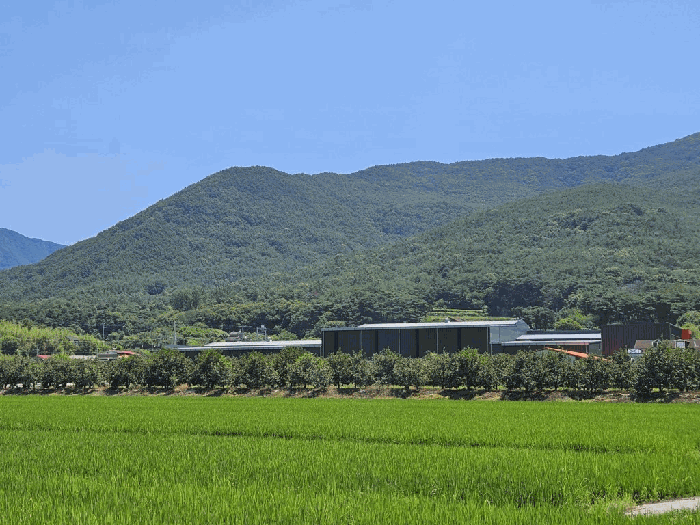 경상북도 청도군 매전면 구촌리 산7 외 5필지 임야 경매 사진 19