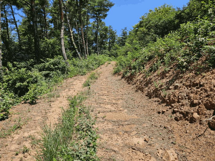 경상북도 청도군 매전면 구촌리 산7 외 5필지 임야 경매 사진 20