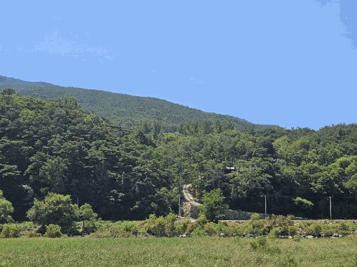 경상북도 청도군 매전면 구촌리 산7 외 5필지 임야 경매 사진 21