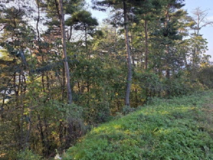 경상북도 청도군 매전면 구촌리 산7 외 5필지 임야 경매 사진 6